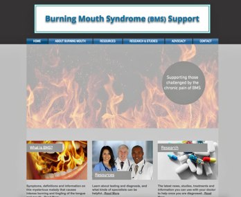 BMS-Support-Website-Home